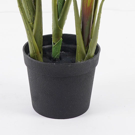 Διακοσμητικό Φυτό Γλάστρα Cycas Inart Πράσινο Φ 55x55x80 Cm