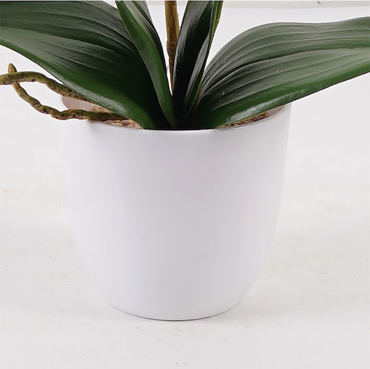 Decorative Potted Plant Orchid Beauty Inart 30x13x46 Cm Decorative Potted Plant Orchid Beauty Inart 30x13x46 Cm
