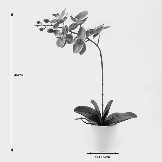 Decorative Potted Plant Orchid Beauty Inart 30x13x46 Cm
