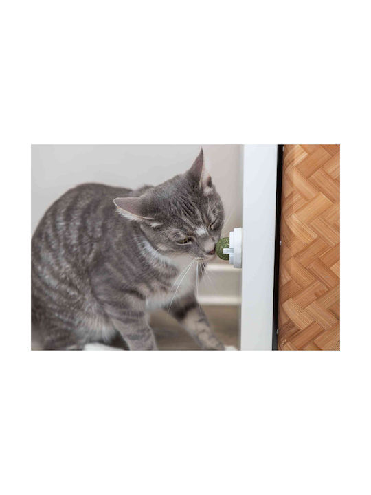 Trixie Παιχνιδι Γατας Trixie Μπαλα Catnip Βαση 5cm 201.42242 Trixie Παιχνιδι Γατας Trixie Μπαλα Catnip Βαση 5cm 201.42242