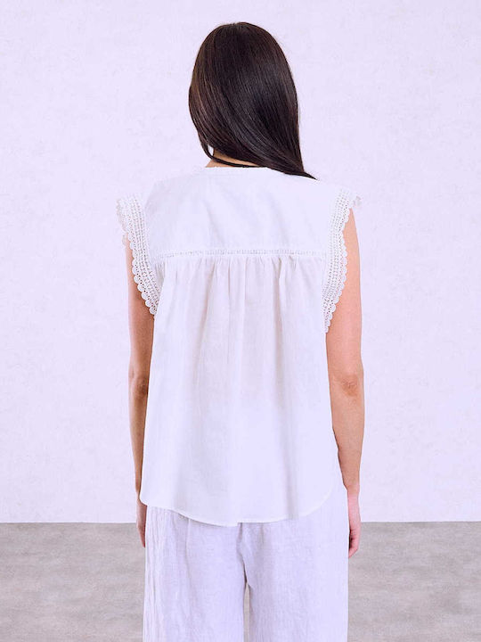 Celestino SQ18013080