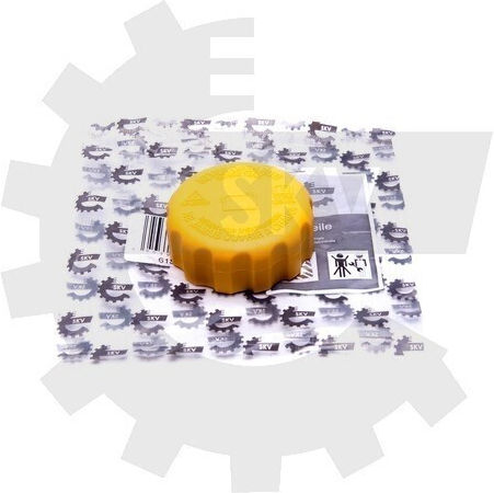 Capac Vas Expansiune Opel Agila Ascona 96420303