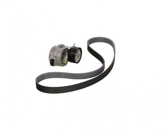 Set de curele trapezoidale întinzătoare Citroen C3 1621267280