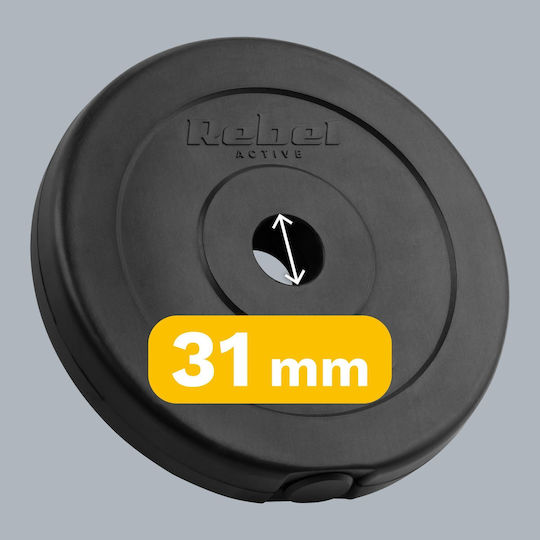 Σετ Δίσκοι 4 x 2.5kg Φ31mm