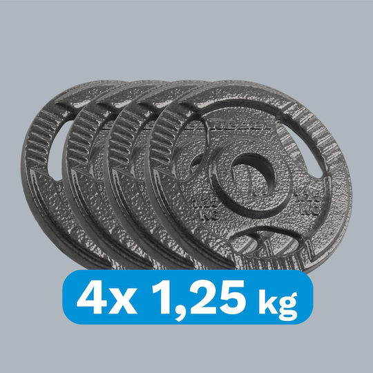 Σετ Δίσκοι Μεταλλικοί 4 x 1.25kg Φ31mm με Λαβές