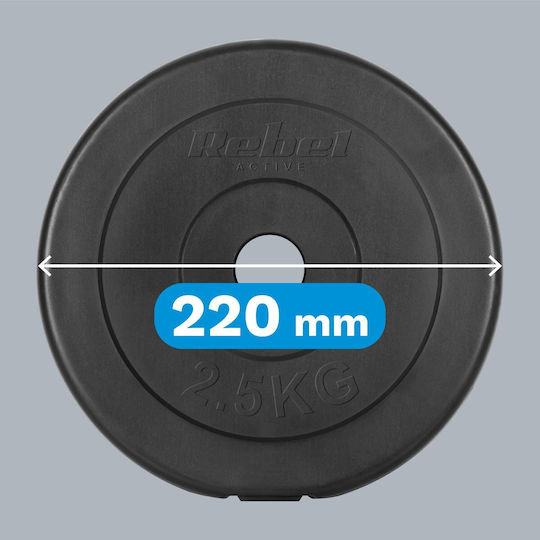 Σετ Δίσκοι 4 x 2.5kg Φ31mm