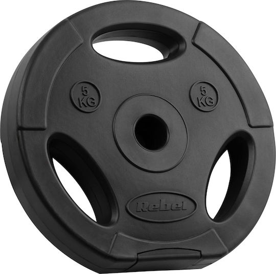 Scheibenset 4 x 5kg Ø31mm mit Griffen