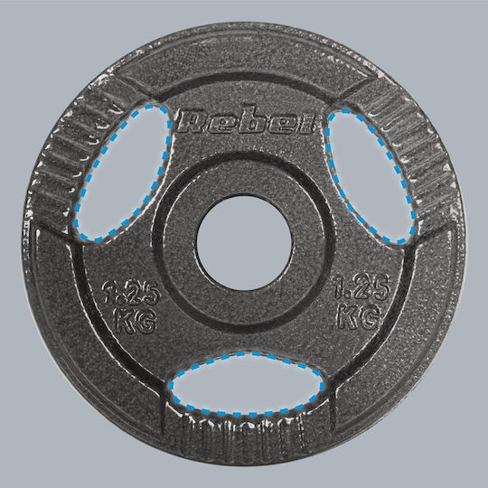Σετ Δίσκοι Μεταλλικοί 4 x 1.25kg Φ31mm με Λαβές