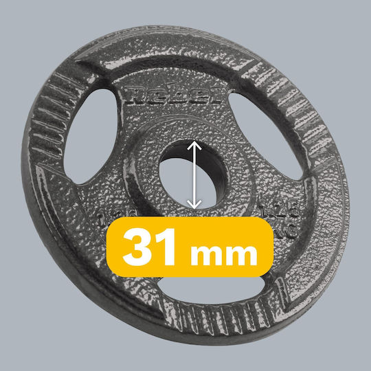 Σετ Δίσκοι Μεταλλικοί 4 x 1.25kg Φ31mm με Λαβές