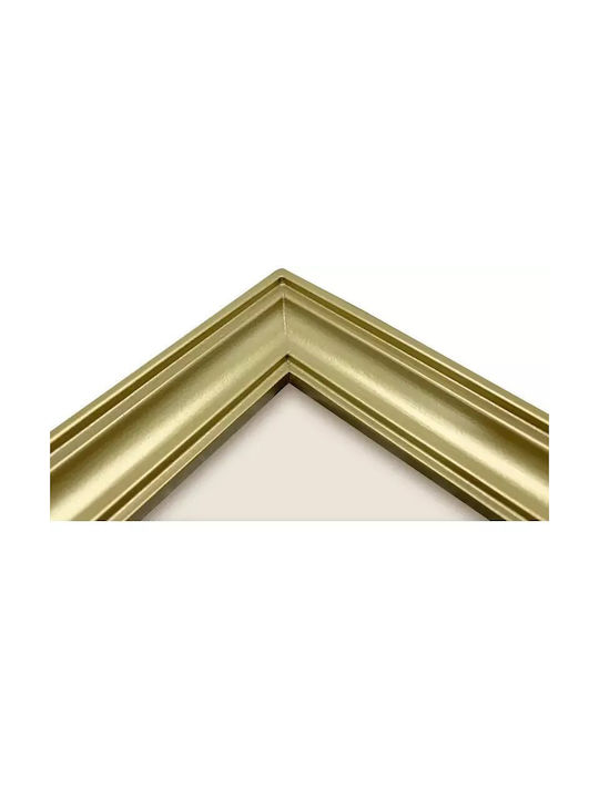 Focus Plastic Photo Frame With Gold Frame