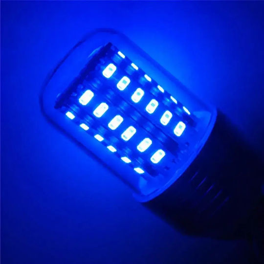 Led Professional Underwater Fishing Lamp 12/24v Blue 60 Super Led 18000lm Ipx8 – Super Fish Lamp Tc-554