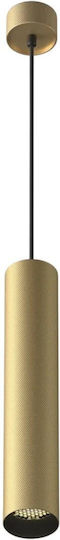 Maytoni Pendant Light Gold with Socket GU10