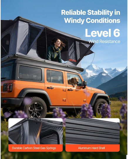 Vevor SY09 Camping Mountaineering Tent Black 4 Seasons for 2 People Waterproof 3000mm 212x132x95cm