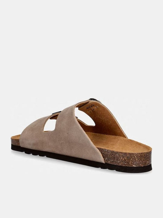 Scholl