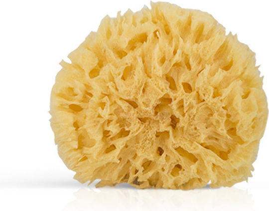 Natural Body Sponge