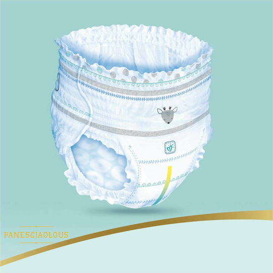 Pampers Diaper Pants Premium Care No. 6 for 15+kg 31pcs