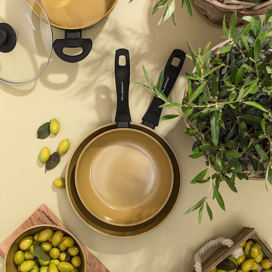 Florina Amvegan Κατσαρολάκι Γάλακτος από Αλουμίνιο 1lt / 16cm