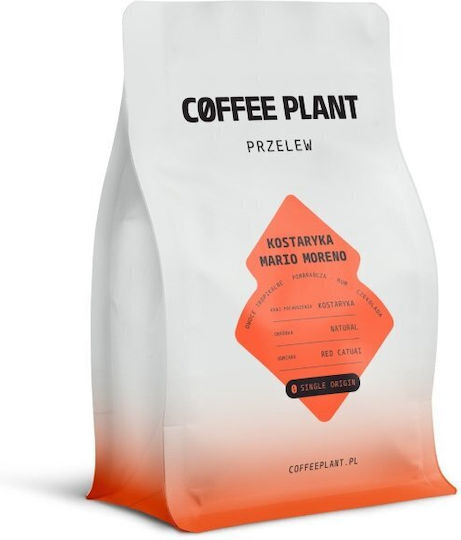 Coffee Plant Filterkaffee Costa Rica in Körner 250g
