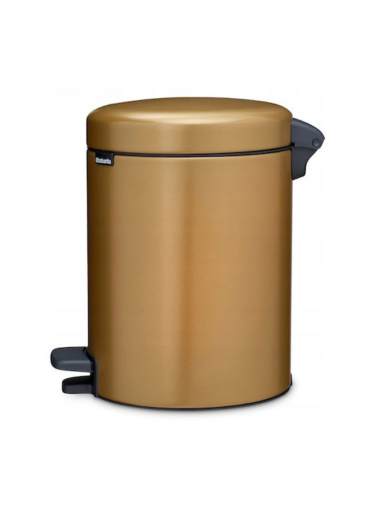 Brabantia Brabantia Mülleimer NewIcon Pedal Metallisch mit Pedal 5lt