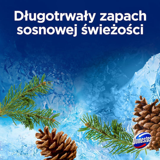 Domestos WC-Korb-Einsatz 2x50g Kiefer 1Stk