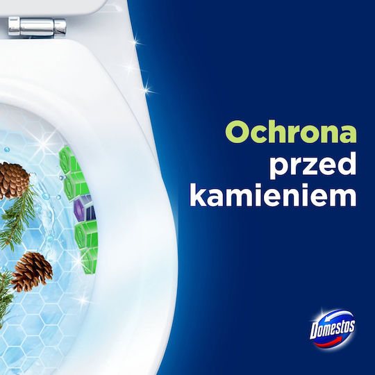 Domestos WC-Korb-Einsatz 2x50g Kiefer 1Stk