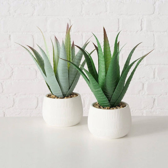 Aloe În Ghiveci Mic Albastru 29cm Boltze