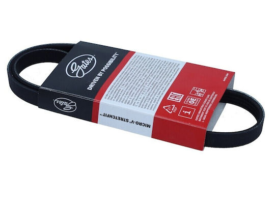 Gates Poly-V Riemen 4er Pack 12603509