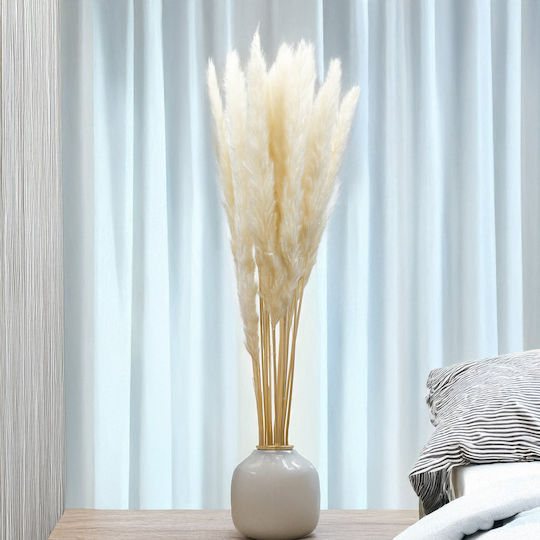 Mini Pampas Grass Bleached