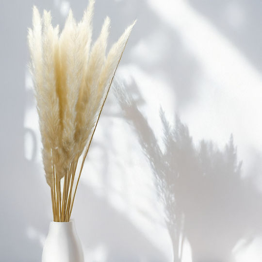 Mini Pampas Grass Bleached