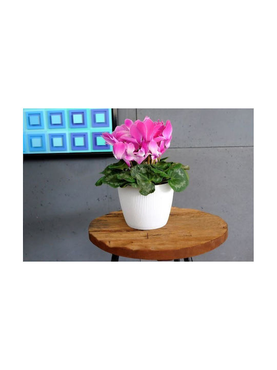 Lamela Topf Kunststoff 30cm.