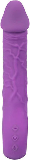 Purple Vibrator 10 Different Vibration Modes Heating Function