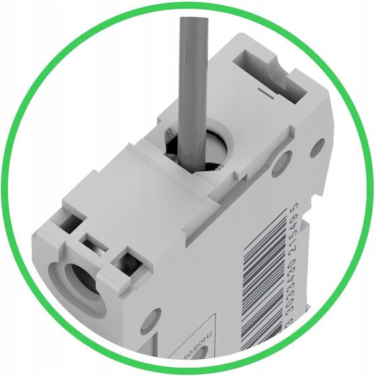 Schneider Electric Two-Pole Rail Switch 25A
