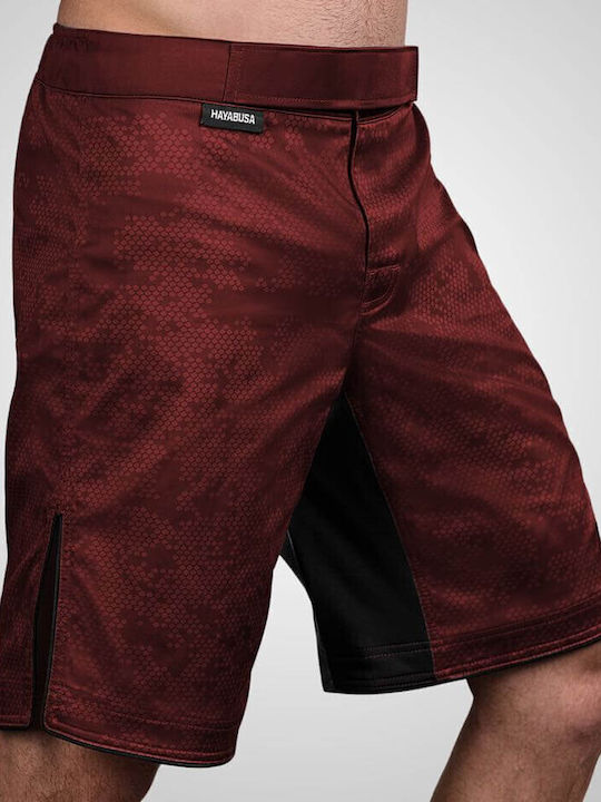 Hayabusa Hexagon Fightshorts