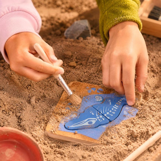 Miniland Archaeology Set Εκπαιδευτικό Παιχνίδι