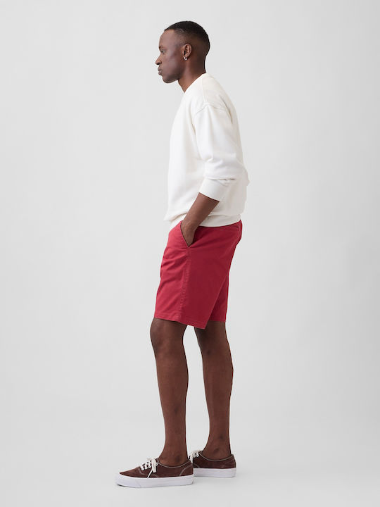 Men's Khaki Shorts