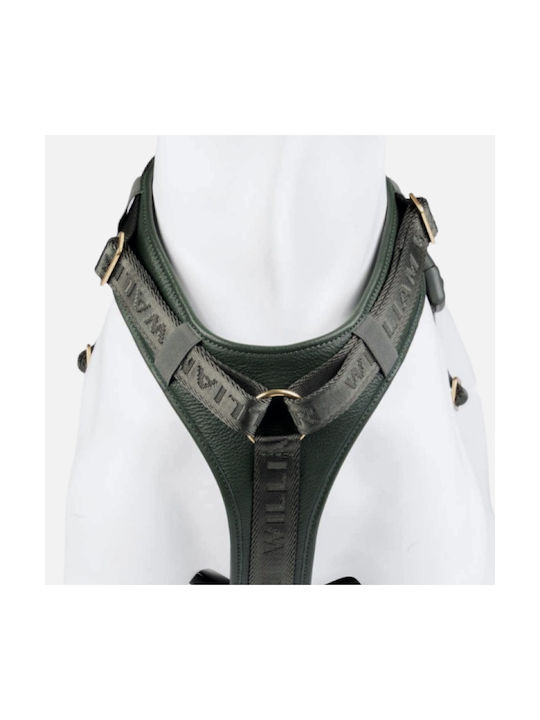 William Walker Δερμάτινο Σαμαράκι Σκύλου Plain Premium Πράσινο Y-harness Μαλακό Δέρμα L 61-85cm