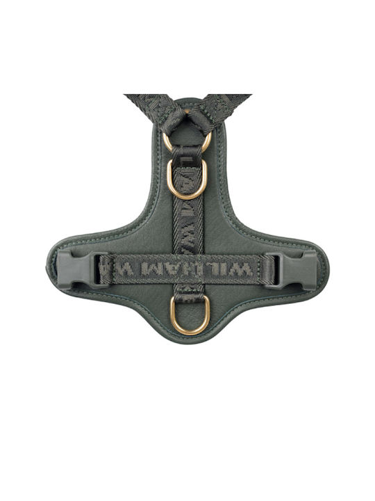 William Walker Leder Hundegeschirr Plain Premium Grünes Y-Harness Weiches Leder S 46-63cm