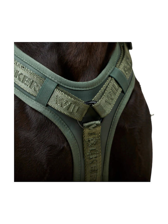 William Walker Hundegeschirre Apex Y Grün Leichtes Mesh & Neopren M 54-76cm