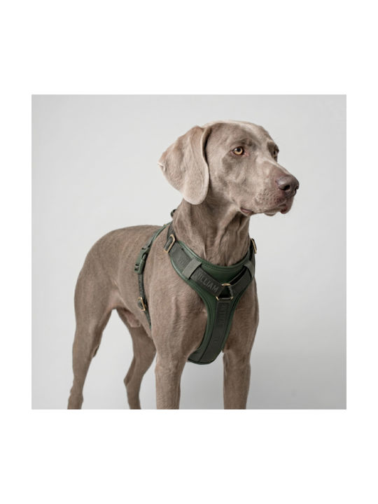 William Walker Leder Hundegeschirr Plain Premium Grünes Y-Harness Weiches Leder S 46-63cm