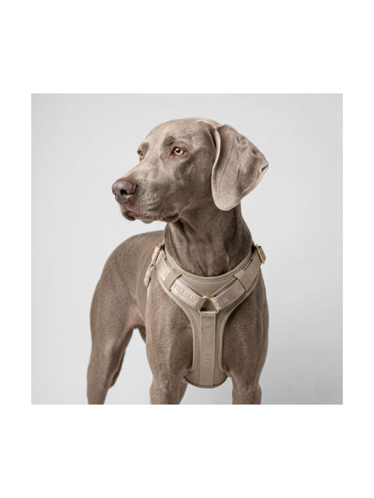 William Walker Leder Hundegeschirr Plain Premium Beiges Y-Harness Weiches Leder X-Large 69-100cm
