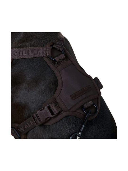 William Walker Hundegeschirre Apex Y Braun Leichtes Mesh & Neopren X-klein 35-48cm