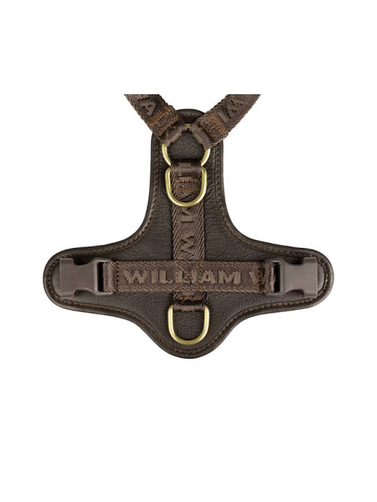 William Walker Кожено Кучешко Повод Plain Premium Кафяв Y-harness Меко Кожа L 61-85cm William Walker Кожено Кучешко Повод Plain Premium Кафяв Y-harness Меко Кожа L 61-85cm
