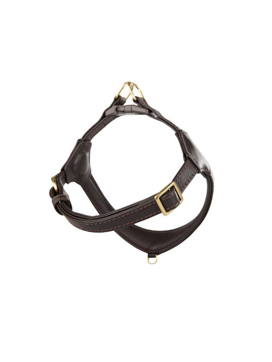 William Walker Pico Leder Step-in Hundegeschirre Braun Kleine Hunde & Welpen X-Small 33-40cm