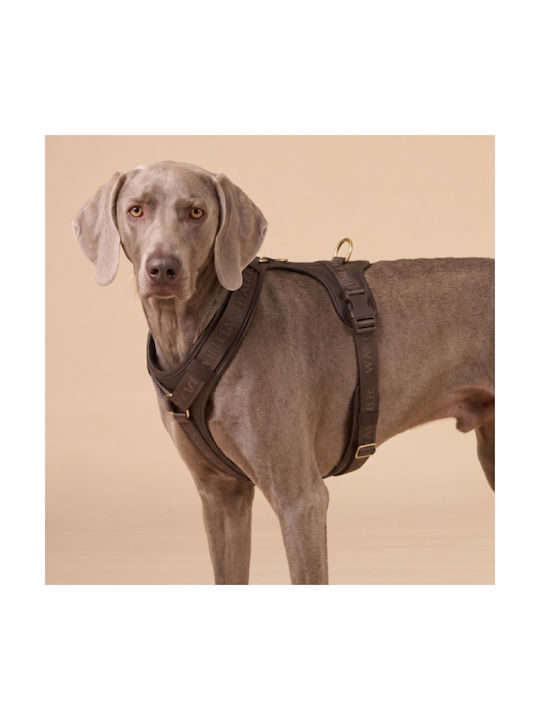 William Walker Leder Hundegeschirr Plain Premium Braune Y-Harness Weiches Leder L 61-85cm