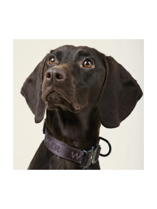 William Walker Hundehalsband Jacquard Nylon Erdbraun Leicht & Vegan S M 28-44cm