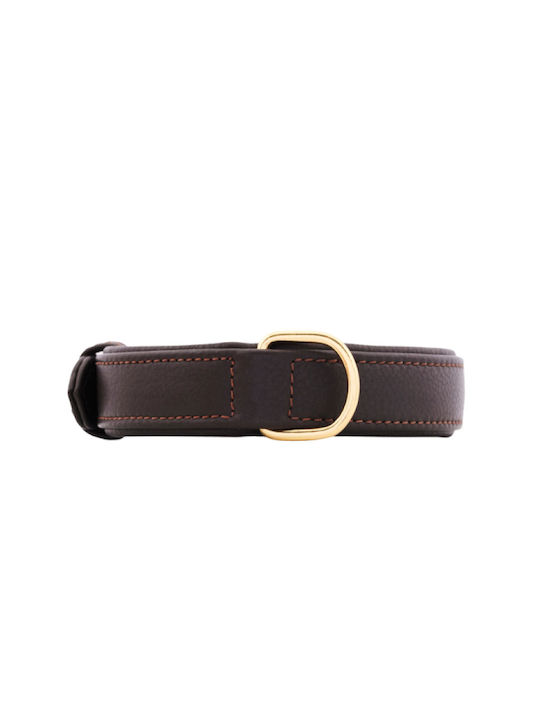 William Walker Δερμάτινο Περιλαίμιο Σκύλου Καφέ Plain Collection Xxl 56cm