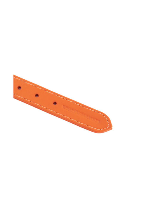 William Walker Leather Dog Collar Orange Plain Collection XxSmall 22cm