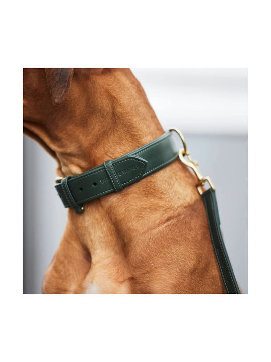 William Walker Leather Dog Collar Green Plain Collection XXLarge 56cm