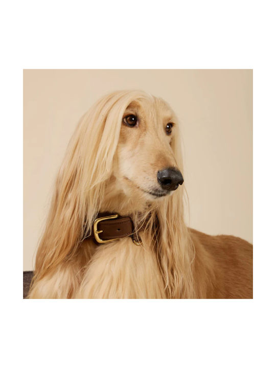 William Walker Wasserfestes Leder Hundehalsband Nubuck Braun Heritage Collection S 31cm