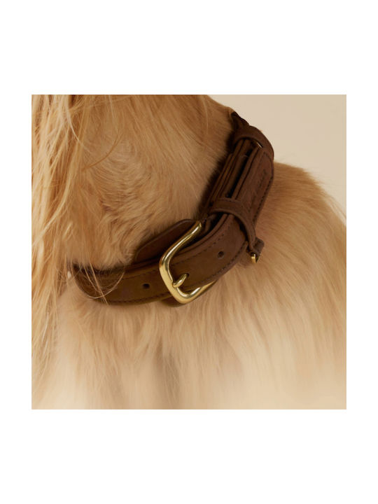 William Walker Wasserfestes Lederhalsband Hundehalsbänder Nubuck Braun Heritage Collection XXSmall 22cm